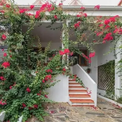 Casa rural collao de lobo