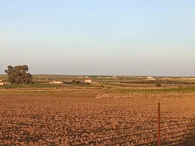 Paisaje cerca de este apartamento