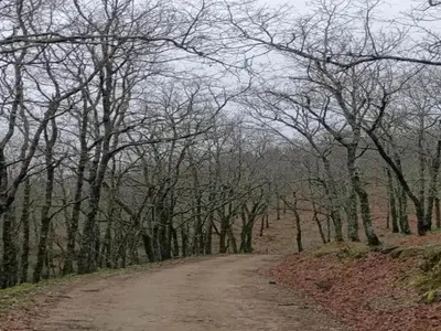 Paisaje cerca de esta casa o chalet