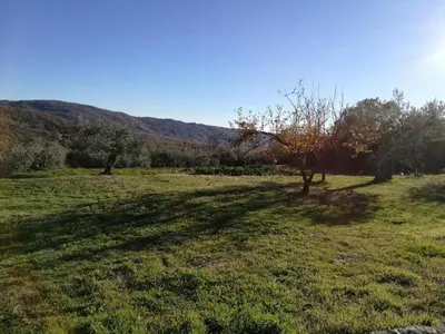 Paisaje cerca de esta casa o chalet
