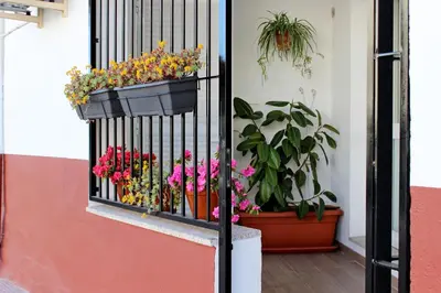 Un balcón o terraza de Apartamento turístico la Vera
